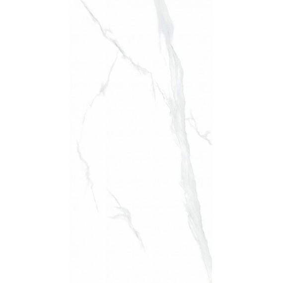 Керамогранит NTT9106P Statuario 60x120