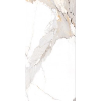 NTT9121P Calacatta Light Grey 60x120