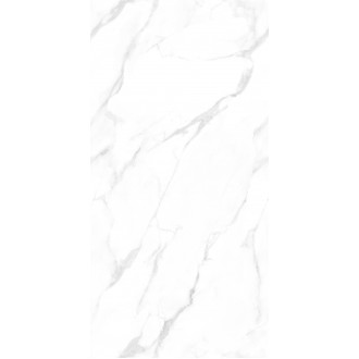 NTT99506P Statuario Endless 60x120