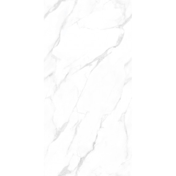 Керамогранит NTT99506P Statuario Endless 60x120