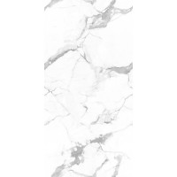 NTT99507P Callacata Endless 60x120