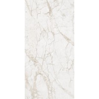 NTT99519M Impero Grey Carving 60x120