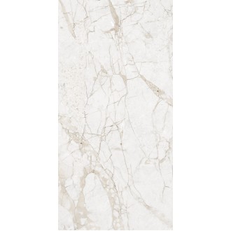 NTT99519M Impero Grey Carving 60x120