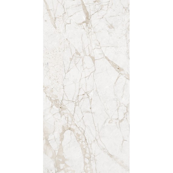 Керамогранит NTT99519M Impero Grey Carving 60x120