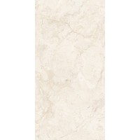 NTT99523C Керамогранит Stone Almond Endless 60x120