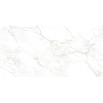 NTT99526M Керамогранит Marble Extra Endless 60x120