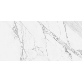 NTT99527С Керамогранит Artic statuario Carving 60x120