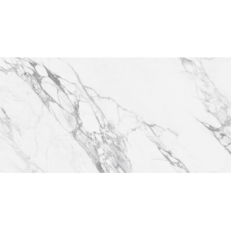 NTT99528P Керамогранит Artic statuario Glossy 60x120