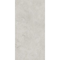 NTT99612L Керамогранит Granite Obelisk Ash 60x120