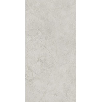 NTT99612L Керамогранит Granite Obelisk Ash 60x120