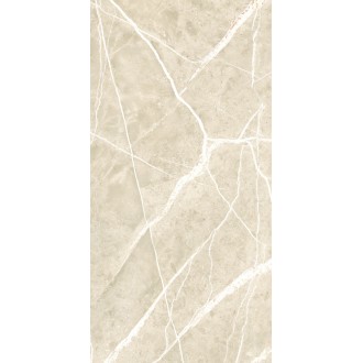 NTT99619PC Керамогранит Granite Wisdom Stone Punch Carving 60x120