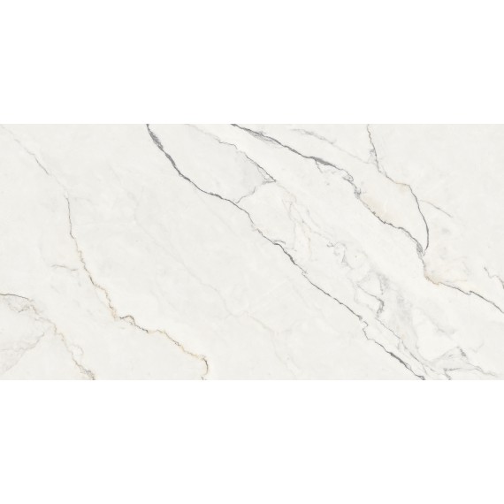 Керамогранит NTTHS99804D Керамогранит Infinity Wisdom Stone 4D 60x120