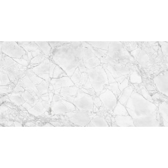 NTTHS99807D Керамогранит Infinity Glacier Map 4D 60x120