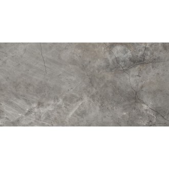 Nagoya lux graphite 60x120