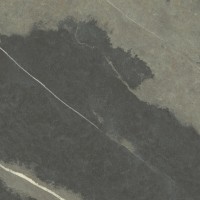 Naoki Natural 120x120