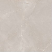 Natural Armani Light Grey Carving 60x60