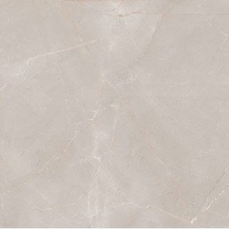 Natural Armani Light Grey Carving 60x60