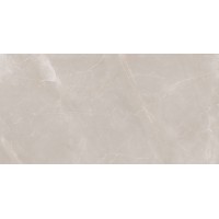 Natural Armani Light Grey Polish 60x120