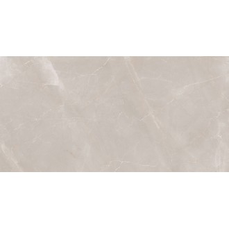 Natural Armani Light Grey Polish 60x120