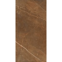 Nature Pulpis Brown 60x120