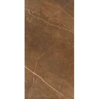 Nature Pulpis Brown 60x120