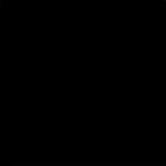 Керамогранит Negro g.136 20x20