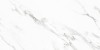Neptune White PGVT 60x120