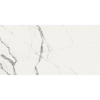 New ice white 60х120