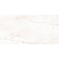 Newcastle светлый 600х1200х11