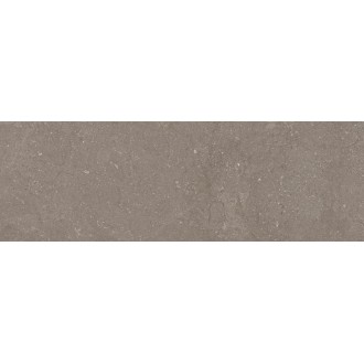 Next Taupe 40x120