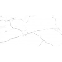 Nilo Leviglass Blanco 60x120