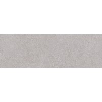 Niza Gris Rett. 25х75