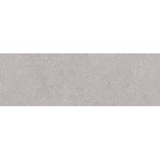 Niza Gris Rett. 25х75