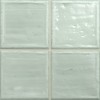 Noa Fern 20х20