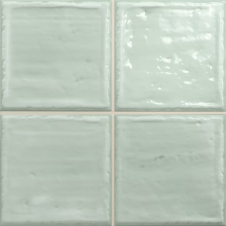 Noa Fern 20х20