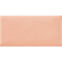 Nordic Coral 12.5*25