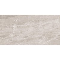 Nostalgic Silver Полированный 60х120