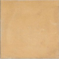 Nostalgy Honey 20x20