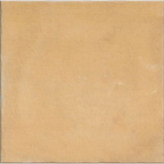 Nostalgy Honey 20x20