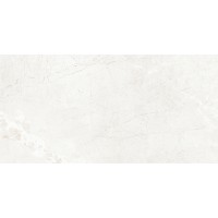 Novelle Gris Полированный 60x120