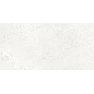 Novelle Gris Полированный 60x120