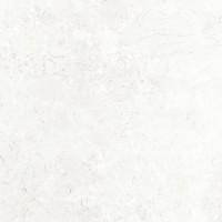 Novelle Gris Полированный 60x60