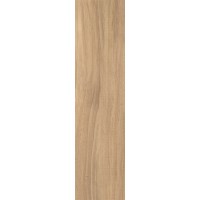 Nut beige 12.5x50