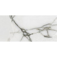 ONYX ARTIC 60x120