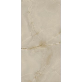 ONYX Polished 60x120