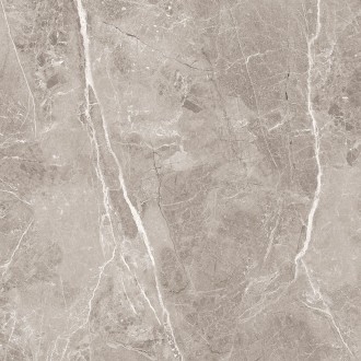 Obsidian Grey Полированный 60x60