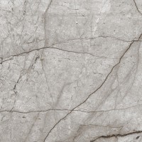 Obsidian Moss Gray Полированный 60х60