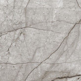 Obsidian Moss Gray Полированный 60х60