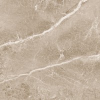 Obsidian Taupe Матовый 60x60