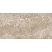 Obsidian Taupe Полированный 60x120